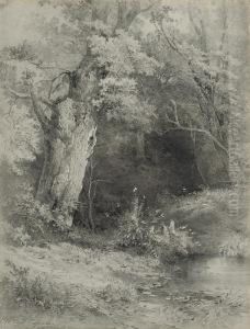 A Riverbank A Riverbank
