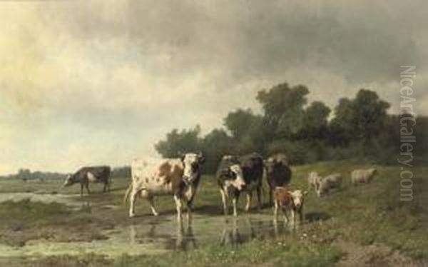 Cattle In The Meadow - view 1