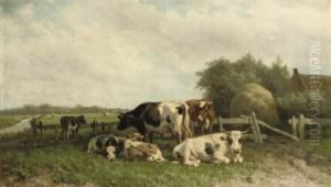 Cows In A Polder Landscape