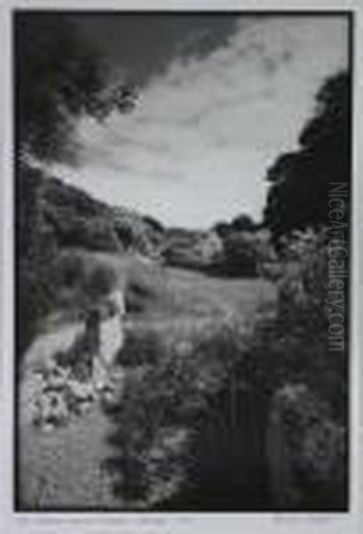 The Thames And Severn Canal - view 1