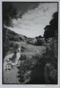 The Thames And Severn Canal