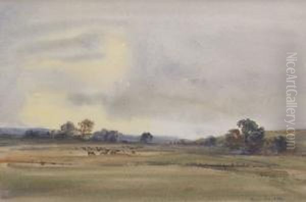Romney March - view 1