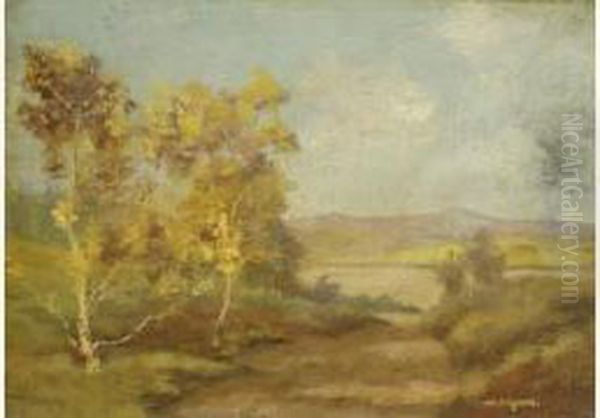 Paysage - view 1