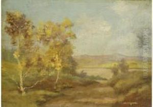 Paysage Paysage