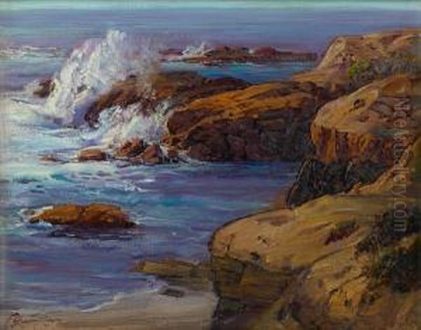 Rugged Shore - view 1