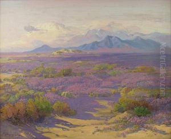 Desert Verbina - view 1