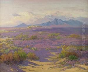 Desert Verbina