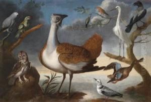 Exotic Birds by Pietro Nieri Scacciati