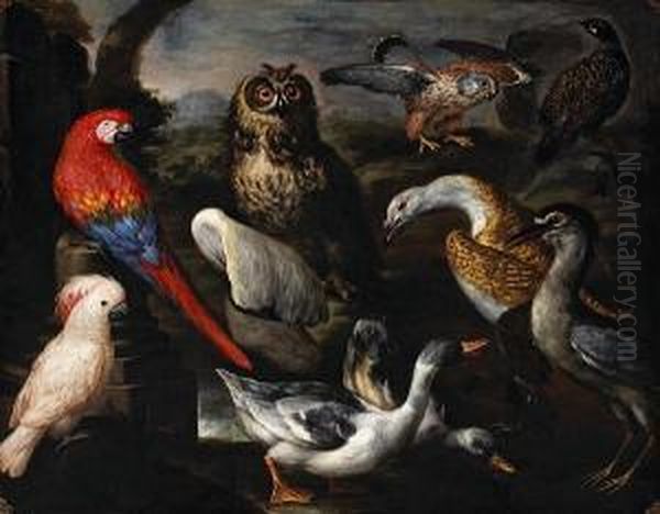 Exotic Birds In A Landscape - view 1