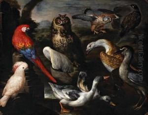 Exotic Birds In A Landscape by Pietro Nieri Scacciati