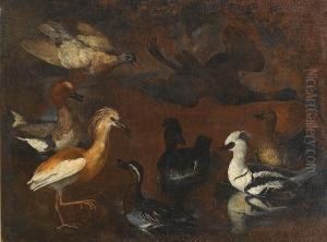A Smew, Garganey, Squacco Heron, Wigeon, Glossy Ibis And Ducks In A Landscape A Smew, Garganey, Squacco Heron, Wigeon, Glossy Ibis And Ducks In A Landscape