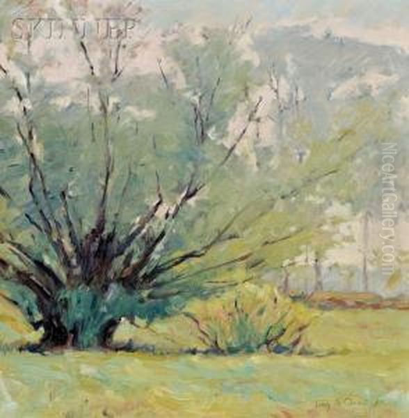 Early Spring - view 1