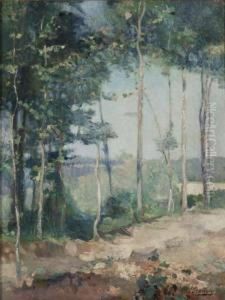 Sentiero Tra Gli Alberi by Ferruccio Scattola
