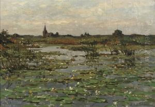 Kortenhoefsche Plassen: Water-lilies Near Kortenhoef - view 1