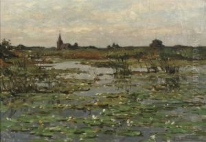 Kortenhoefsche Plassen: Water-lilies Near Kortenhoef