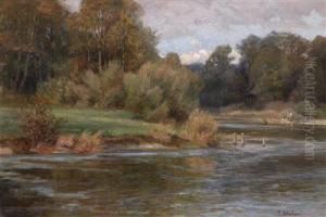 "fluslandschaft Bei Dachau by Therese Schachner