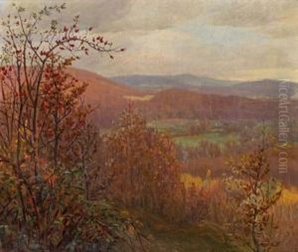 Wiener Wald - view 1