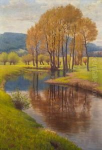 Fruhling An Der Donau