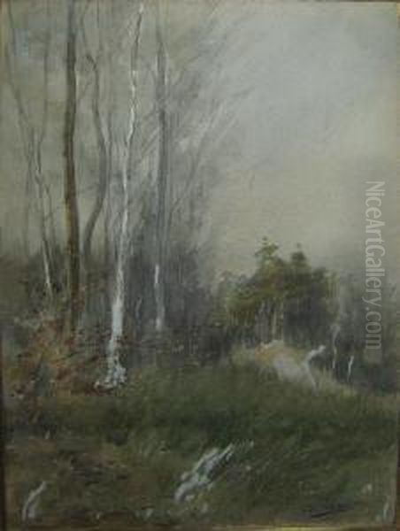 Bosgezicht. - view 1