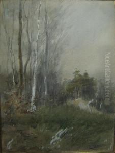 Bosgezicht. by Leo Schaeken