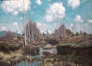 Im Dachauer Moor Im Dachauer Moor