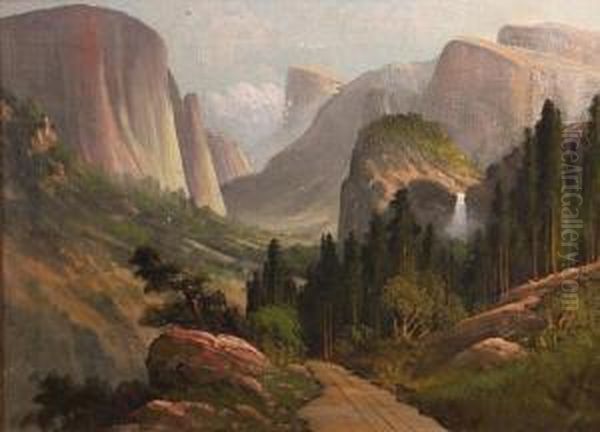 Yosemite Valley - view 1