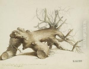Skizze Eines Knorrigen Baumstumpfs by Johannes Stanislaus Schaffroth