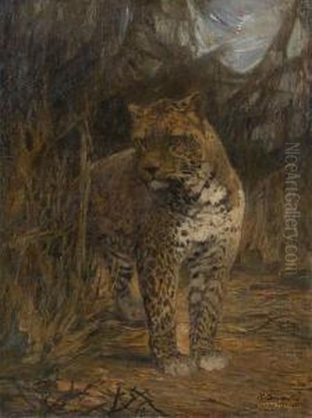 Leopard - view 1