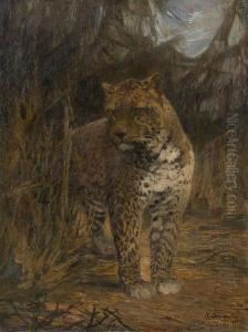 Leopard