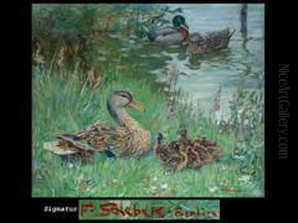 Enten Am Wasser - view 1