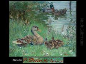 Enten Am Wasser by Ferdinand Schebek
