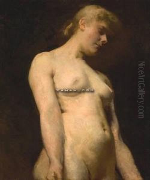 "weibl. Akt" (torso) - view 1