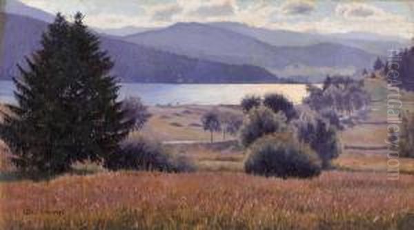 Attersee-landschaft - view 1