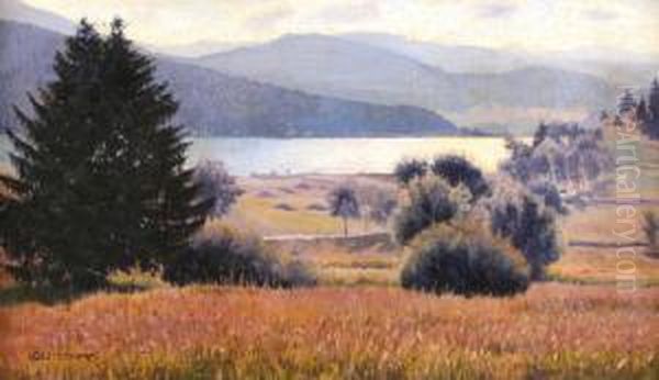 Landschap Met Bergmeer - view 1