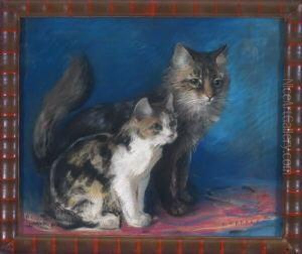 Katze Und Katzchen Vor Blauem Hintergrund - view 1