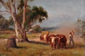 bullock Wagon by Jan Hendrik Scheltema