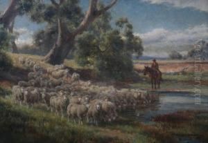 Off The Beaten Track by Jan Hendrik Scheltema