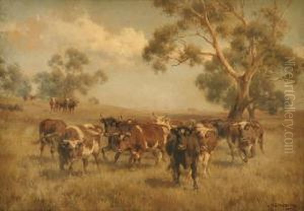 Cattle Grazing - view 1