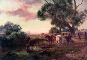 Cattle By A Waterhole by Jan Hendrik Scheltema