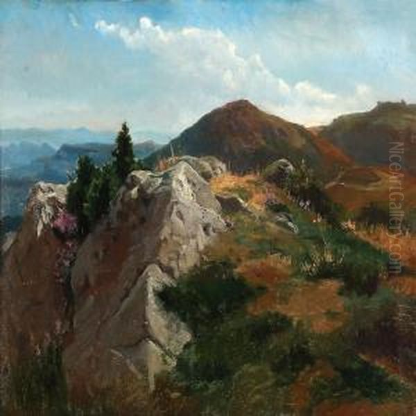 View Of A Hilly Landscape In Sunshine - view 1
