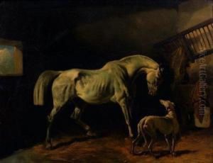 Cheval Blanc Et Levrier Dans Une Ecurie. by August Friedrich Schenck