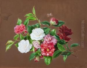 Weise Und Rote Kamelien by August Friedrich Schenck