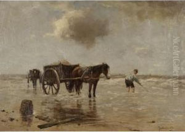 Shell Fisher On A Beach - view 1