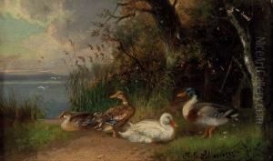 Enten Am See by Julius Scheurer