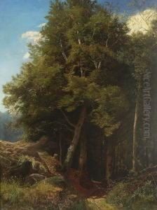 Waldweg