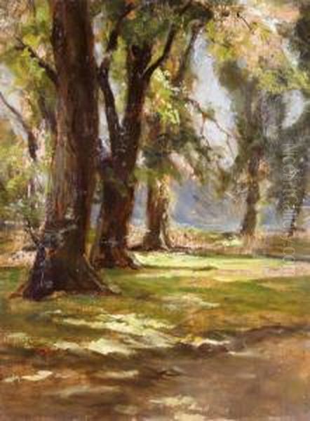 Tisztas Az Erdo Szelen - view 1