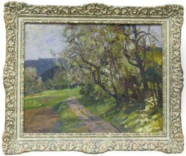 Sommerliche Baumlandschaft - view 1