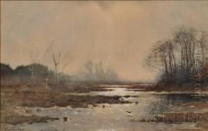 View Of Marsh In Mist by Petrus Paulus Schiedges