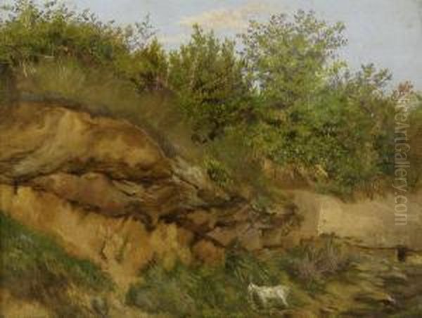 Sommerliche Landschaft Mit Erdhang - view 1
