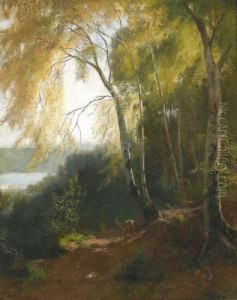 Sonnige Waldlandschaft Mit Reh by Traugott Schiess